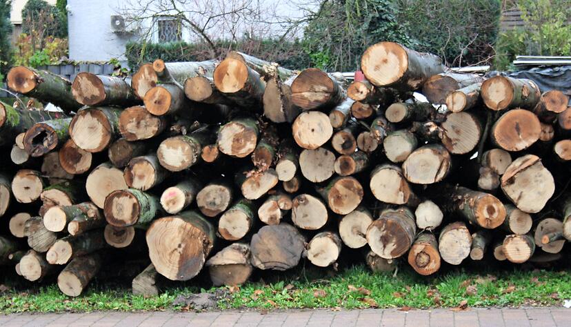 Bei Holzauktionen im Landkreis Heilbronn sind die Preise um fast 50 Prozent gestiegen und bis zu 120 Euro für den Festmeter gezahlt worden. Bei Holzauktionen im Landkreis Heilbronn sind die Preise um fast 50 Prozent gestiegen und bis zu 120 Euro für den Festmeter gezahlt worden.