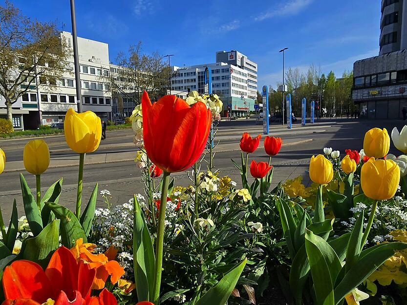 Bunt statt grau. Bunt statt grau.