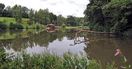 Die Idylle am 460 Jahren alten Naturdenkmal trügt. Die Gemeinde hat den See in privater Hand als Badegewässer 2017 abgemeldet. Foto: Dennis Mugler Die Idylle am 460 Jahren alten Naturdenkmal trügt. Die Gemeinde hat den See in privater Hand als Badegewässer 2017 abgemeldet. Foto: Dennis Mugler