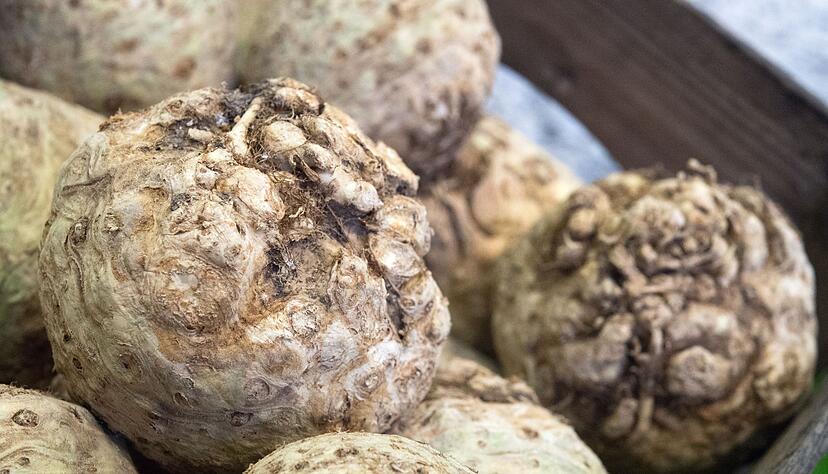 Knollensellerie l&auml;sst sich dank seines nussigen Aromas vielf&auml;ltig verarbeiten.