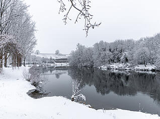 Entlang des Neckars in Lauffen zeigt sich die Schneepracht wie in einem Winterwunderland. Entlang des Neckars in Lauffen zeigt sich die Schneepracht wie in einem Winterwunderland.