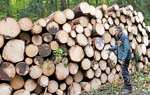 Revierleiter Alexander Fichtner markiert das Polter mit der Holzlistennummer und dem Los 13, das f&uuml;r f&uuml;nf Meter lange Fichtenst&auml;mme steht.