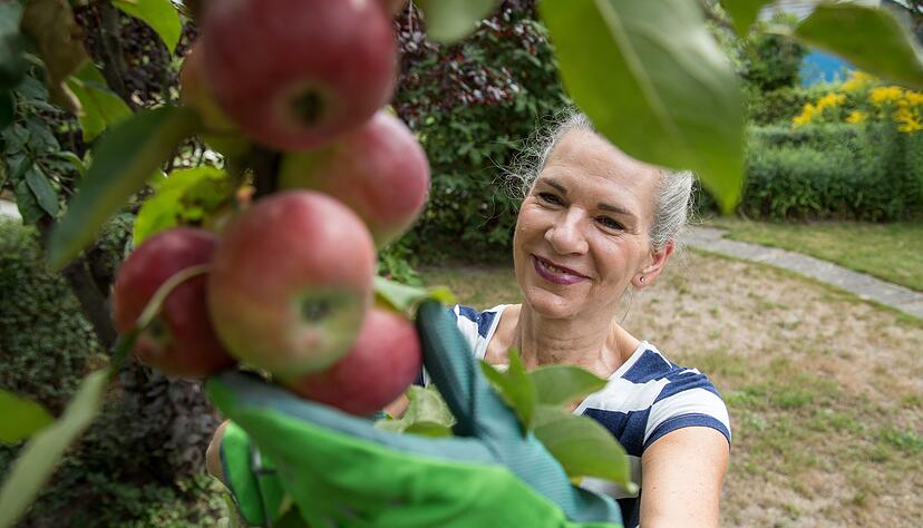 Nicht nur im Herbst: Auch im Frühjahr lassen sich Obstbäume erfolgreich pflanzen. Nicht nur im Herbst: Auch im Frühjahr lassen sich Obstbäume erfolgreich pflanzen.
