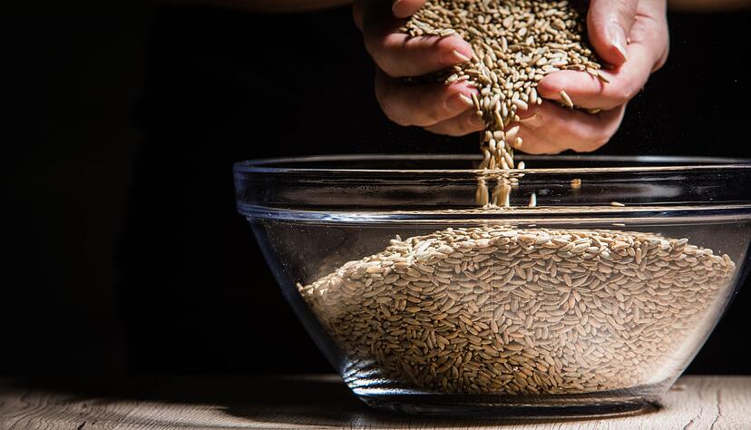 Beim Roggen-Vollkornmehl werden solche ganzen Roggenkörner vermahlen. Beim Roggen-Vollkornmehl werden solche ganzen Roggenkörner vermahlen.