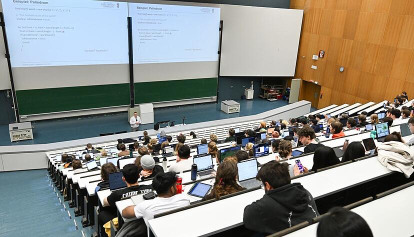 Seltene Spinnen wurden im Keller eines Hörsaalzentrums in Tübingen entdeckt. (Symbolfoto) Seltene Spinnen wurden im Keller eines Hörsaalzentrums in Tübingen entdeckt. (Symbolfoto)