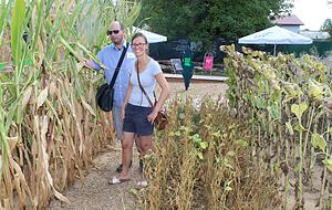 Zwischen Sonnenblumen und Mais: Die Besucher Sandra Dohmann und Andeas Gödecke aus Schöntal betrachten den Demonstrationsacker der Eppinger Bauern.
Fotos: Jörg Kühl Zwischen Sonnenblumen und Mais: Die Besucher Sandra Dohmann und Andeas Gödecke aus Schöntal betrachten den Demonstrationsacker der Eppinger Bauern.
Fotos: Jörg Kühl