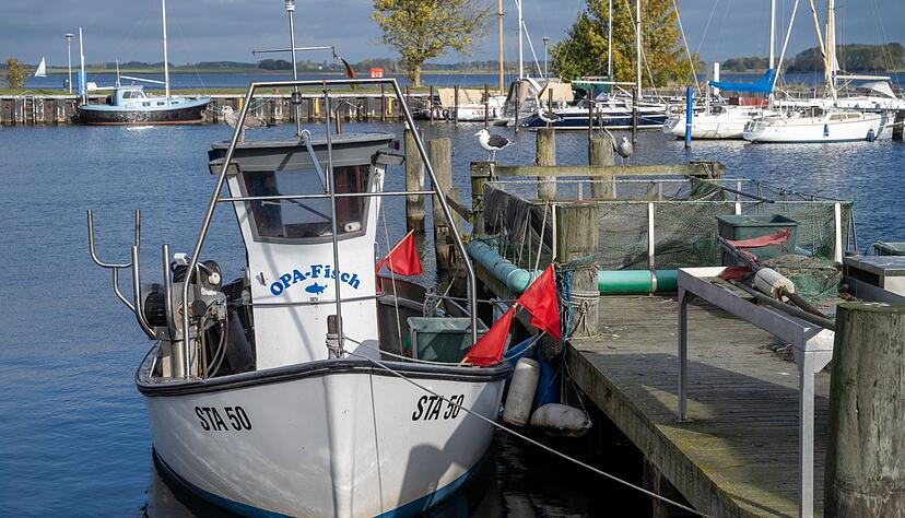 Keine Hiobsbotschaft aus Luxemburg: 2025 bleiben Ausnahmen für Ostseefischer bestehen. Keine Hiobsbotschaft aus Luxemburg: 2025 bleiben Ausnahmen für Ostseefischer bestehen.