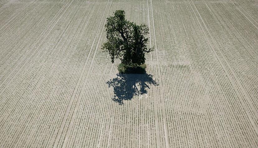 Der DWD wertet f&uuml;r seine Bilanz mehr als 2.000 Messstationen aus. (Archivbild)