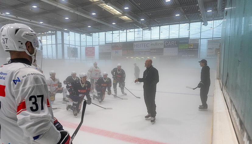 Die Heilbronner Falken sind zurück auf dem Eis. Die Heilbronner Falken sind zurück auf dem Eis.