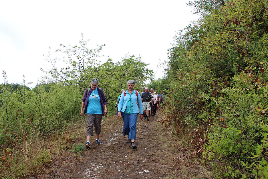 Lesersommer-Wanderung bei Criesbach