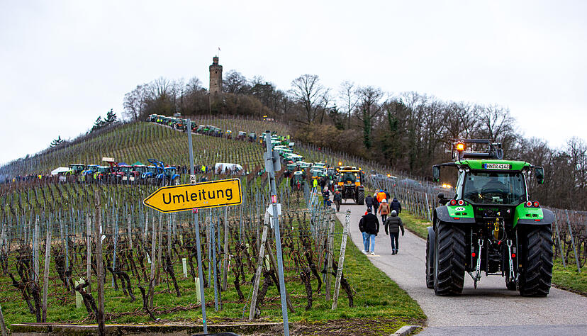 Am Sonntagnachmittag fahren die Traktoren den Heuchelberg an.