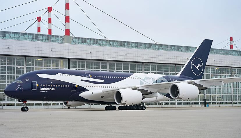 Lufthansa feiert ihr Jubil&auml;um auch mit auff&auml;lligen Sonderlackierungen.