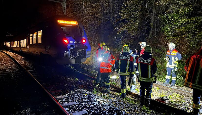 Bei dem Zusammensto&szlig; mit einem Baum wurde kein Passagier des Zuges verletzt.