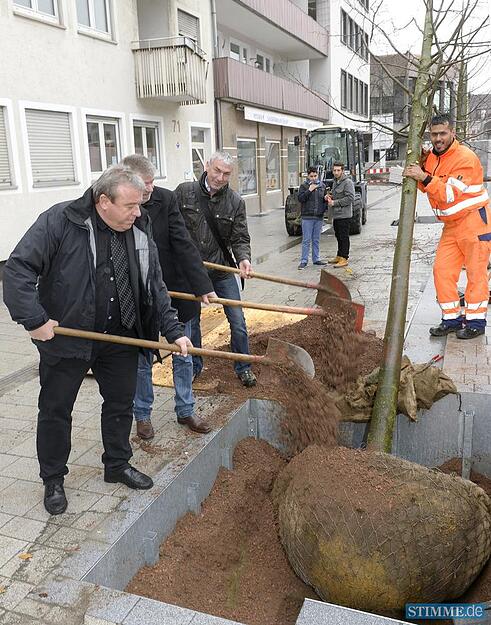 Baumpflanzaktion auf der Allee | 06.11.