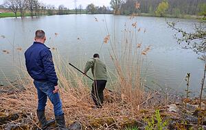 Mehr als 500 tote Fische mussten Mitglieder des Fischereivereins Bad Mergentheim aus dem Hollenbacher Anglersee bergen.
Fotos: privat