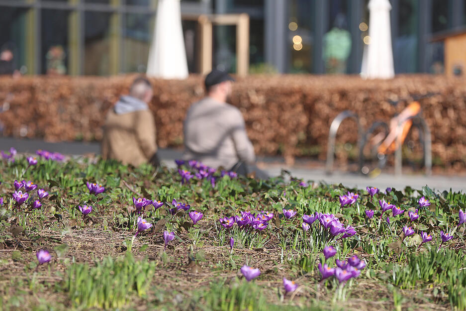 Viele Menschen zog es am Donnerstagnachmittag ins Freie.