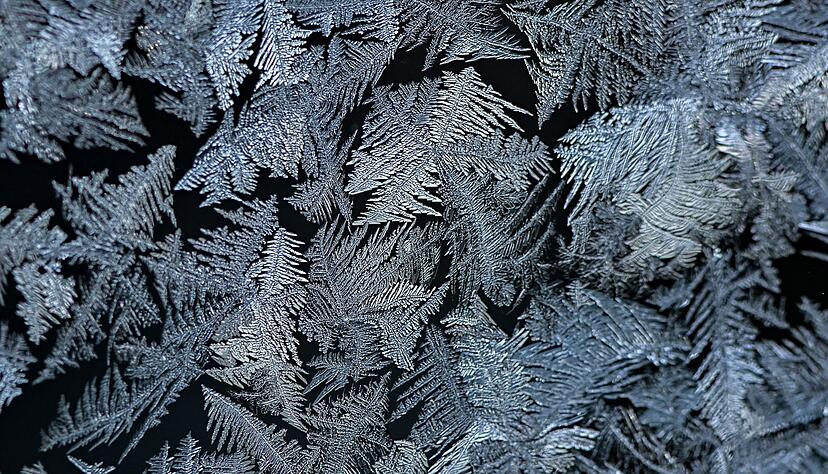 Häufig sehen Eisblumen wie Farnblätter aus. (Archivbild) Häufig sehen Eisblumen wie Farnblätter aus. (Archivbild)
