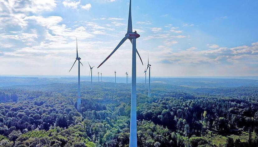 Windr&auml;der im Harth&auml;user Wald: Einer Initiative in Obereisesheim versagt der Gemeinderat in Neckarsulm das Einvernehmen.