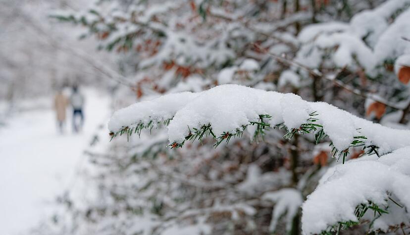Spaziergang durch die Winterlandschaft bei Wilhelmsfeld. Spaziergang durch die Winterlandschaft bei Wilhelmsfeld.
