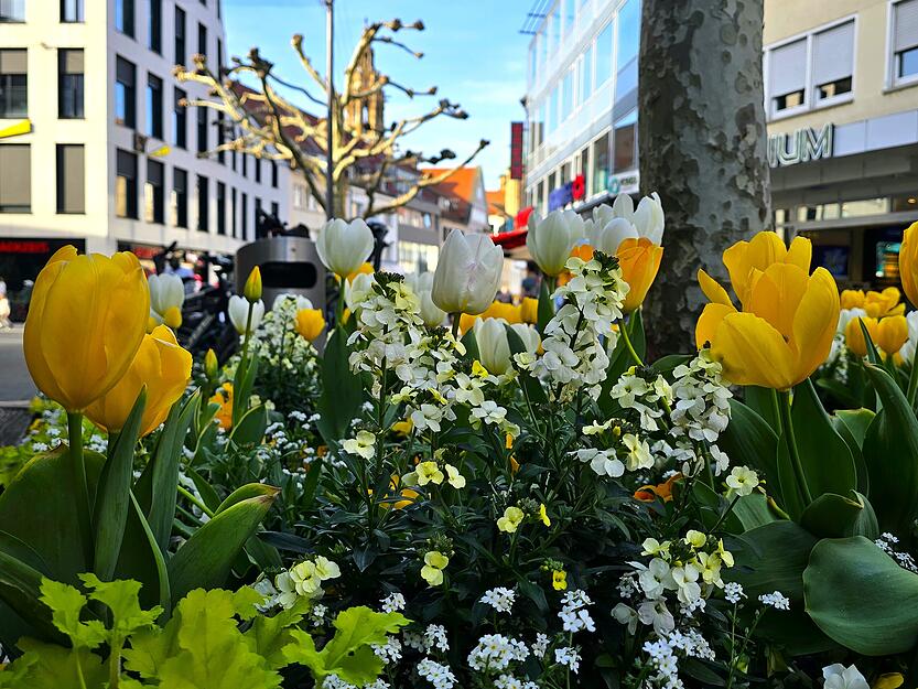 Am Samstag wird es noch mal sonnig – da kommen Frühlingsgefühle auf. Am Samstag wird es noch mal sonnig – da kommen Frühlingsgefühle auf.