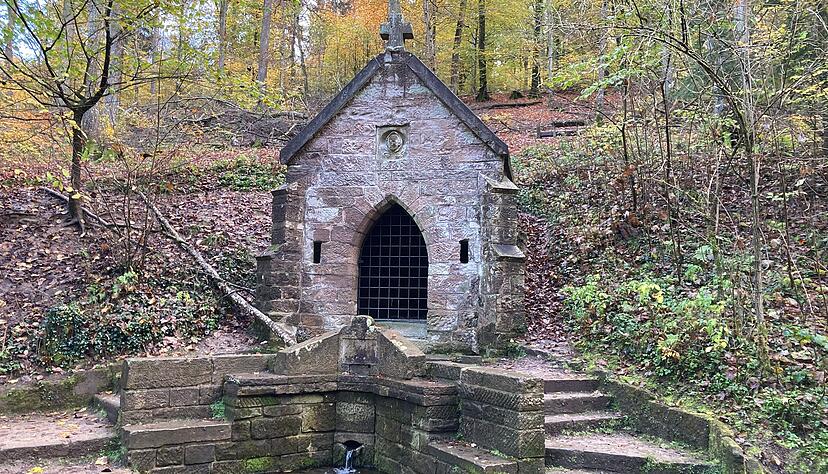 Der Köpferbrunnen ist ein idyllischer Ort mitten im Wald im Osten Heilbronns. Hat er eine blutige Vergangenheit?