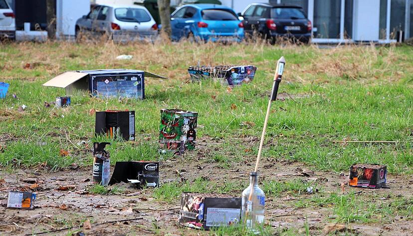 Besonders ungünstig ist der Müll in Grünflächen wie hier im Stadtteil Taläcker. Hier können Kleinteile nicht zusammengekehrt werden.
Fotos: Tamara Ludwig