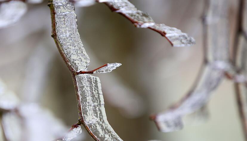 In den kommenden Nächten soll es laut DWD Frost geben. (Archivbild) In den kommenden Nächten soll es laut DWD Frost geben. (Archivbild)