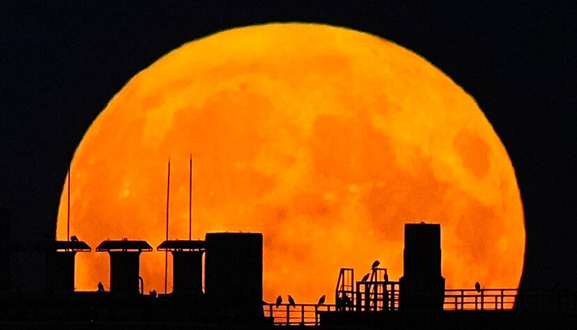 Ein Supermond geht über einem Wohnhaus auf. Ein Supermond geht über einem Wohnhaus auf.