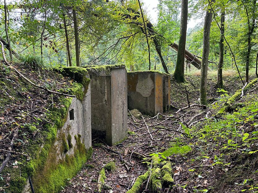 Bis zum Beginn des Zweiten Weltkriegs fanden dort im Köpfertal in Heilbronn Schießübungen statt. Bis zum Beginn des Zweiten Weltkriegs fanden dort im Köpfertal in Heilbronn Schießübungen statt.