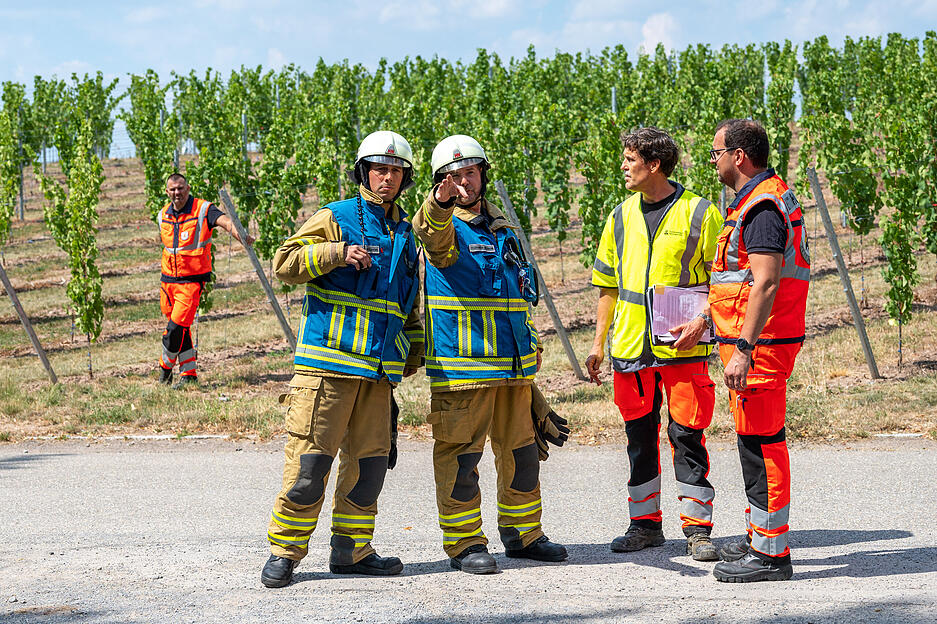 Rettungshundestaffel Unterland Übung