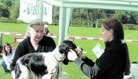 Dem Blick der Richterin Sonja Junge (links) aus München entging nichts. Dem Klub ist es wichtig, dass das Standard-Erscheinungsbild erhalten bleibt. (Foto: Ute Knödler) Dem Blick der Richterin Sonja Junge (links) aus München entging nichts. Dem Klub ist es wichtig, dass das Standard-Erscheinungsbild erhalten bleibt. (Foto: Ute Knödler)