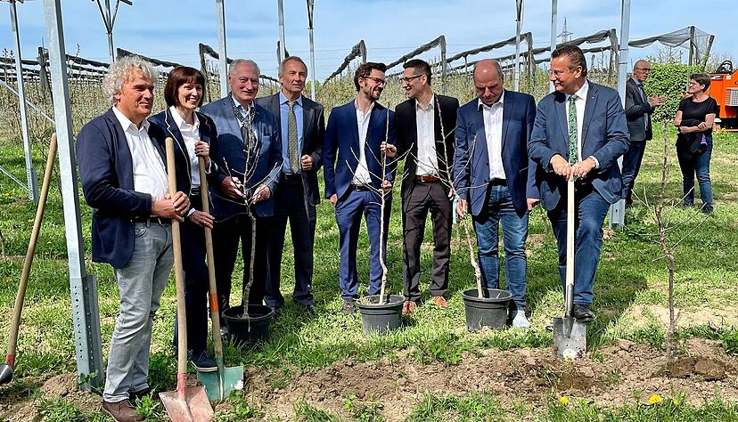 Landwirtschaftsminister Peter Hauk (CDU, rechts) hilft dabei, die letzten Apfelb&auml;ume unter den Solarmodulen zu pflanzen.
Foto: privat