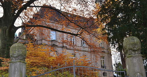 An der Bismarckstraße 48 in Heilbronn steht die Villa Teuffel, ein neobarockes Baudenkmal aus den Jahren 1901/02. Errichtet wurde sie von den Architekten Ernst Walter und Karl Luckscheiter für den Bankier Emil Teuffel.