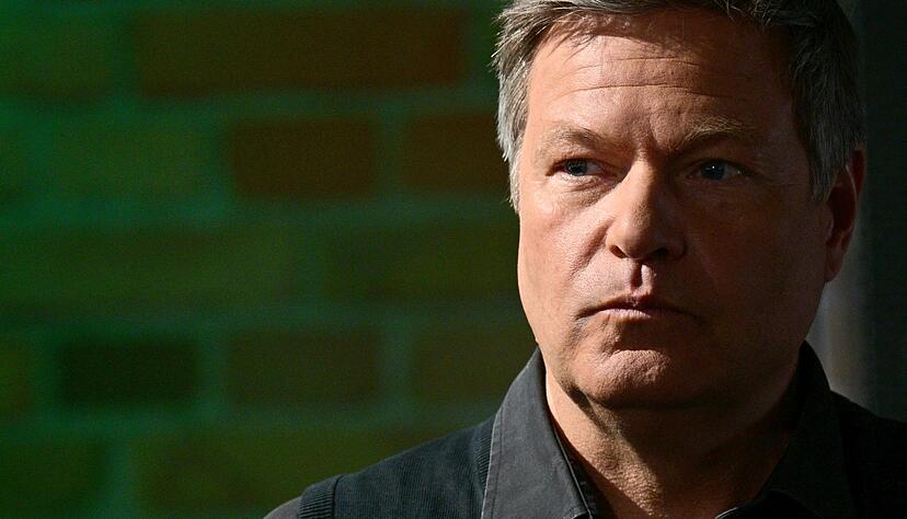 Er wolle forschen, lehren, lernen, sagt Habeck. (Archivbild)