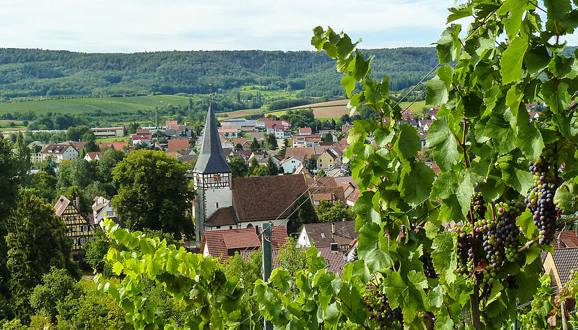 Auch in Pfaffenhofen erh&auml;lt die AfD bei der Landtagswahl 2026 mehr Zweitstimmen als jede andere Partei.