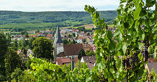 Idyllische Lage: Pfaffenhofen im oberen Zaberg&auml;u hat einiges zu bieten. Foto: Weigend/Archiv