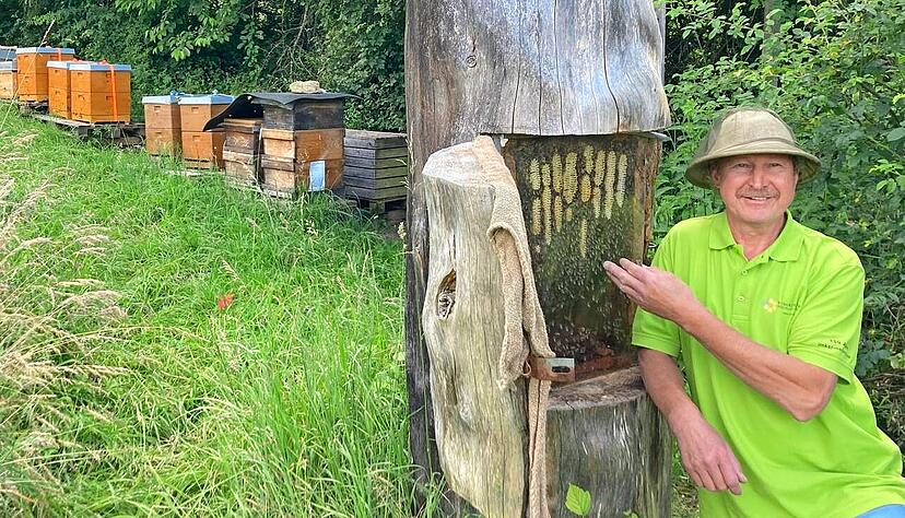 Eberhard Knorr aus Siebeneich ist einer der besten seiner Zunft im Land. Hier zeigt er das Schau-Bienenvolk am Imkerpavillon in Öhringen. Eberhard Knorr aus Siebeneich ist einer der besten seiner Zunft im Land. Hier zeigt er das Schau-Bienenvolk am Imkerpavillon in Öhringen.