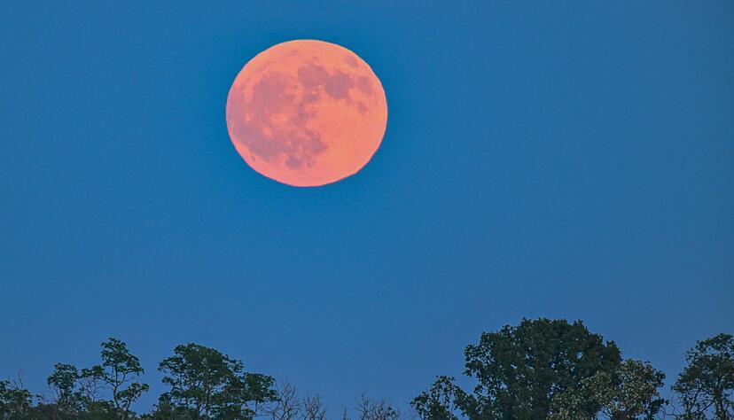 Blassroter Mond am Abendhimmel. (Archivbild)