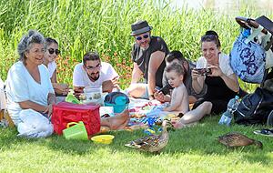 Wer ein schattiges Plätzchen ergattert, kann es sich gemütlich machen. Einige picknicken auf dem Gelände und genießen dabei die Aussicht. Wer ein schattiges Plätzchen ergattert, kann es sich gemütlich machen. Einige picknicken auf dem Gelände und genießen dabei die Aussicht.
