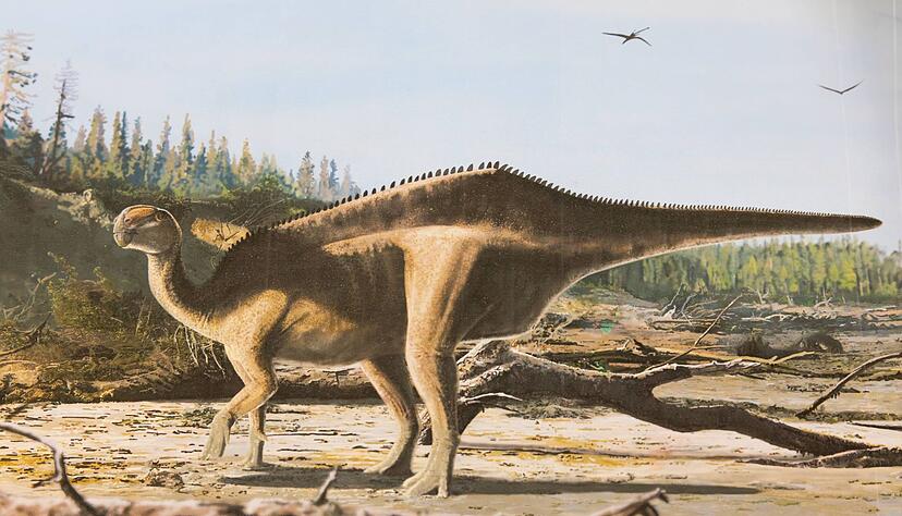 K&uuml;nstlerische Darstellung von Istiorachis macaruthurae