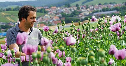 Stefan Kerner inmitten seines Blaumohns. Auf vier Hektar baut er dieses Jahr Mohn an. Angefangen hat der Landwirt damit vor zwölf Jahren &minus; mit einer kleinen Versuchsfläche bei seinem Hof, der Erlenbacher Ölmühle.
Fotos: Ekkehart Nupnau