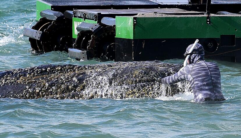Lehmann dirigiert auch die Bagger, die als Teil der Rettungsversuche im Einsatz sind.