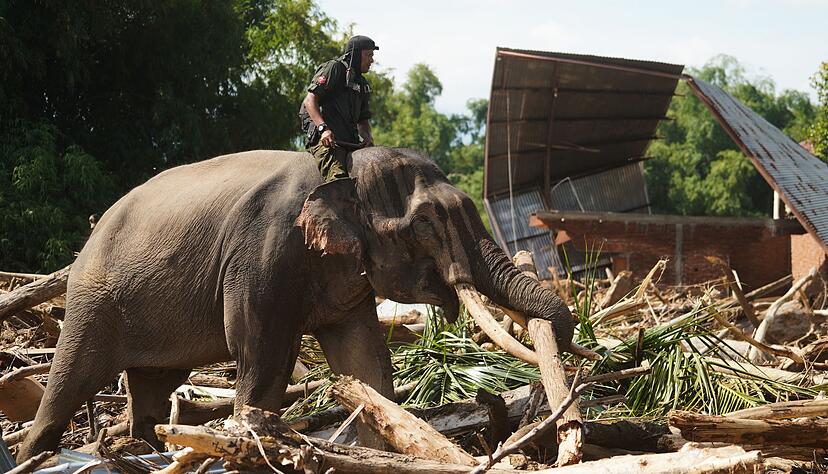 Die Dickh&auml;uter sind eine wertvolle Hilfe bei den Aufr&auml;umarbeiten auf Sumatra - aber die n&auml;chsten Regenf&auml;lle werden schon erwartet.
