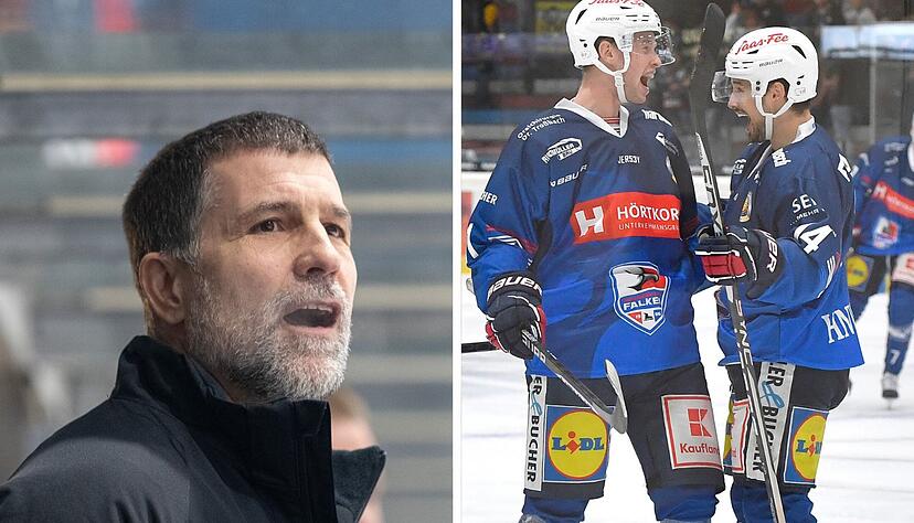 FalkenSportdirektor Martin Jiranek 