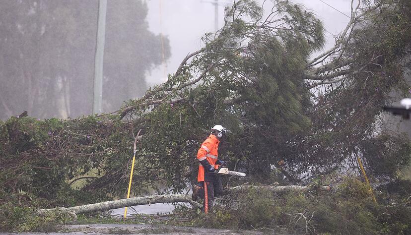 Umgest&uuml;rzte B&auml;ume und Strommasten zeugen von der zerst&ouml;rerischen Wucht des Sturms.