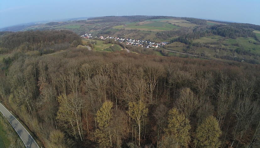 In diesem Waldst&uuml;ck oberhalb von Eberstal soll der erste gef&ouml;rderte Mobilfunkmast in Baden-W&uuml;rttemberg aufgestellt werden.