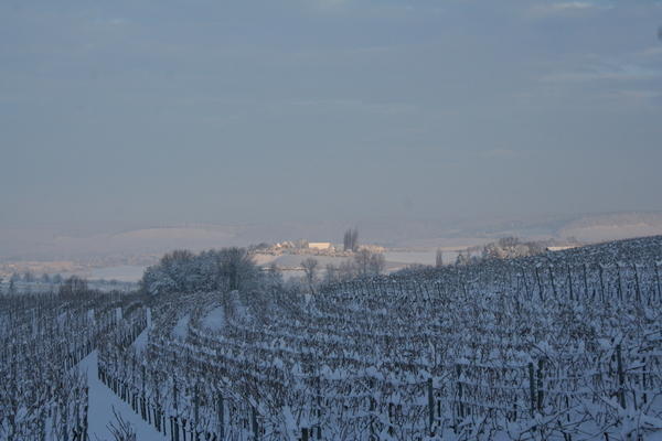 Blick von Löwenstein ins Sulmtal-Morgenstimmung am 2. Weihnachtsfeiertag Blick von Löwenstein ins Sulmtal-Morgenstimmung am 2. Weihnachtsfeiertag