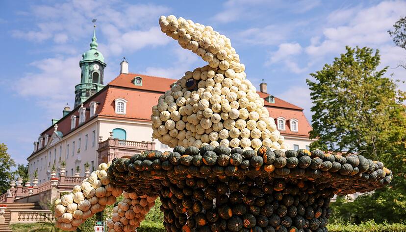 Entstanden sind bis zu vier Meter hohe Figuren. Entstanden sind bis zu vier Meter hohe Figuren.