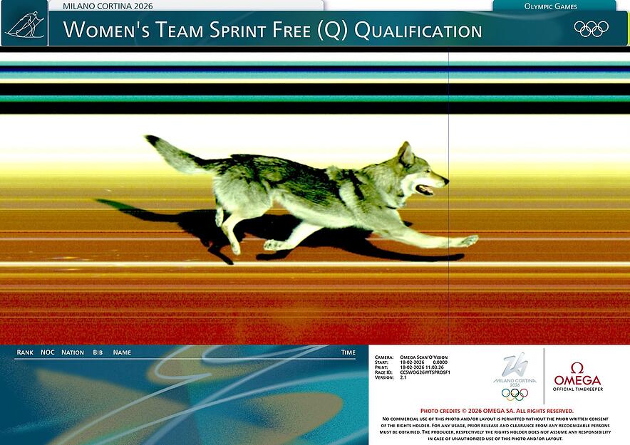 Sein Zieleinlauf sorgte sogar für ein Fotofinish. Sein Zieleinlauf sorgte sogar für ein Fotofinish.