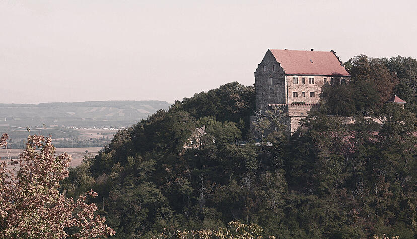 Auf Schloss Magenheim bei Cleebronn soll es grausam zugegangen sein. Auf Schloss Magenheim bei Cleebronn soll es grausam zugegangen sein.